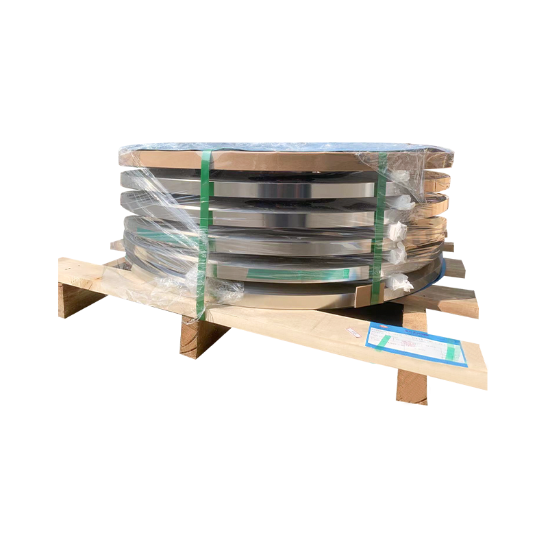 316L Frigidum Rolled Steel velit enim eget Filler