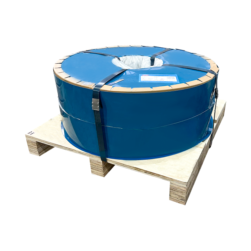 CCCI Frigus Rolled Steel velit enim Spring