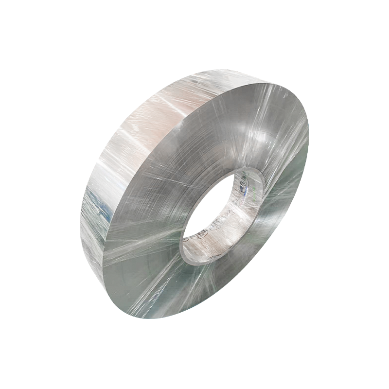 309S Frigus Rolled Steel velit enim Braid tube